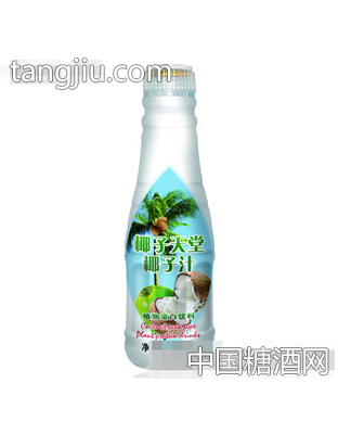 椰子天堂椰子汁500ml