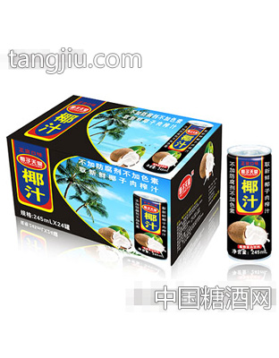 椰子天堂椰汁245mlX24
