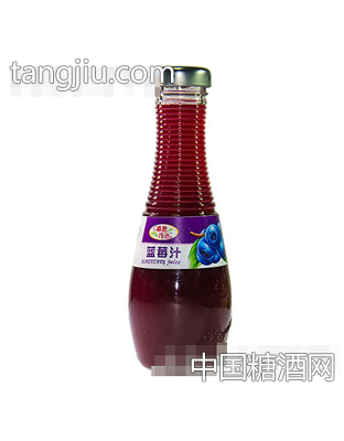 盛世泠达蓝莓汁