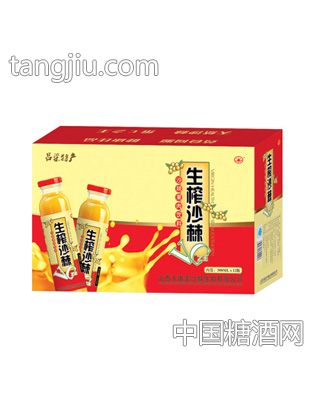 天维宝生榨沙棘VC饮料