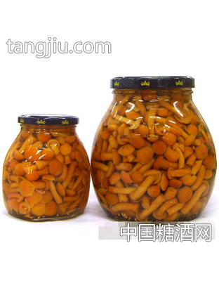 森源滑子菇