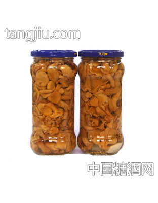 森源鸡油菌