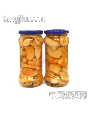 森源牛肝菌