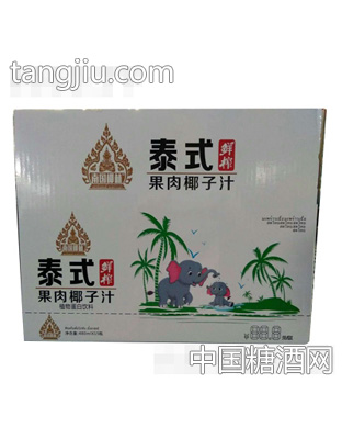 南国椰林泰式鲜榨果肉椰子汁480mlx15瓶