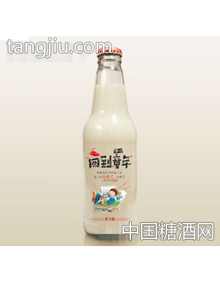 百醇鲜磨豆奶(回到童年)