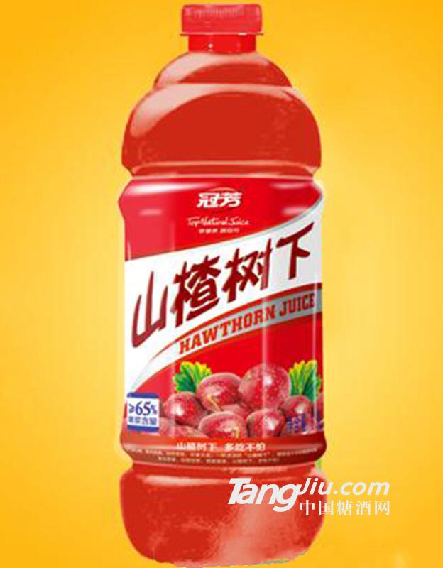 山楂树下1.8l