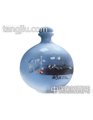 53°神话之鸟