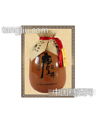 唐王井酒·大实窖