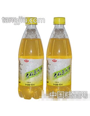 体宝老北京汽水芒果味480ml