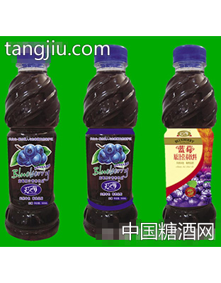 胶瓶蓝莓500ml装