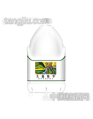 天地精华天然矿泉水4L