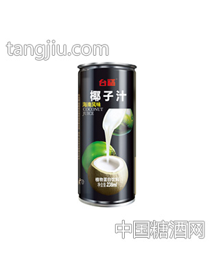台福椰子汁238g