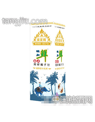 亲家姆鲜榨泰式椰子汁植物蛋白饮料1l