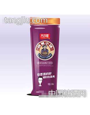 天合露硕果小镇蓝莓汁280ml