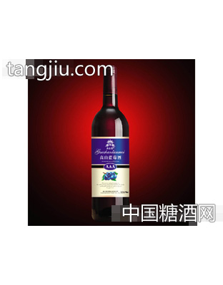 高山蓝莓酒QJ
