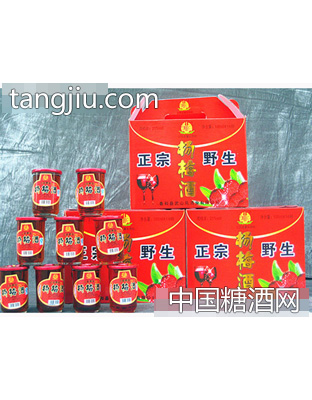 杨梅酒