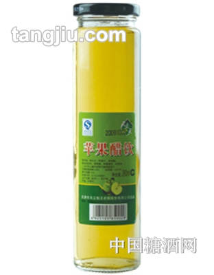 天立普通苹果醋饮料260ml