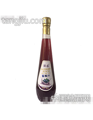 浩园蓝莓汁828ml