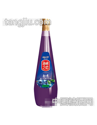海峡之恋进口蓝莓汁饮料828ml