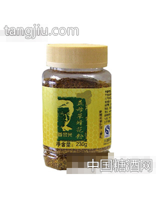 博康天蜜益母草花粉