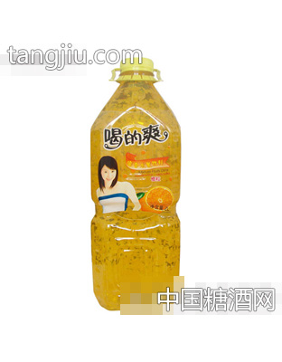 瓶装2L橙粒饮料