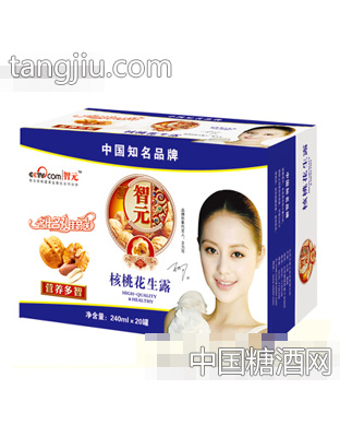 智元核桃花生露240mlx20罐
