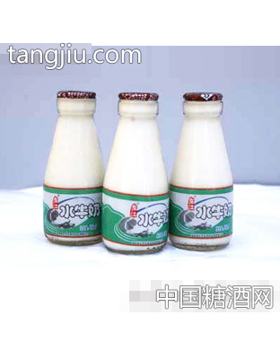 左江低脂无糖高钙水牛奶