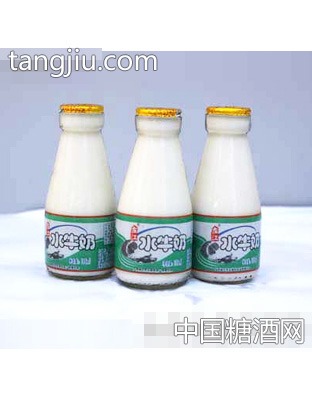 左江高钙水牛奶