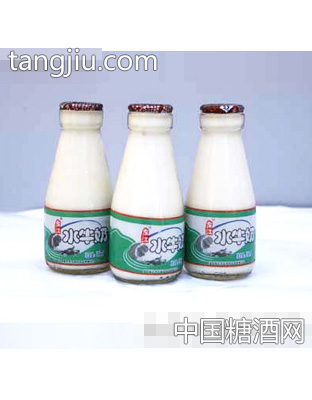 左江水牛酸奶