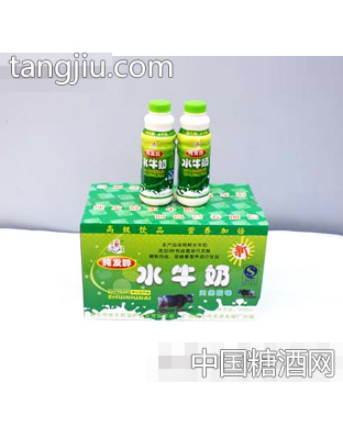左江500ml