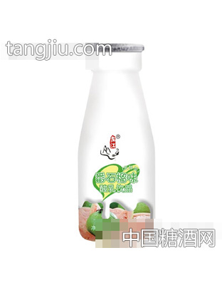 左江番石榴味乳酸饮品220ml