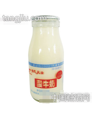 240g天太乳业酸奶
