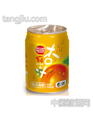 屯河杏汁250ml