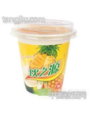 285g饮之源水果沙拉菠萝+椰果
