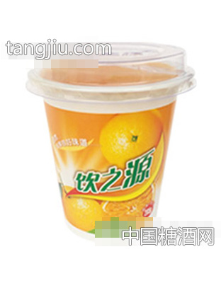 285g饮之源水果沙拉桔子+椰果