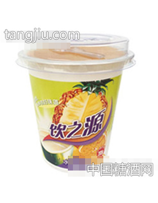 285g饮之源水果沙拉什锦水果