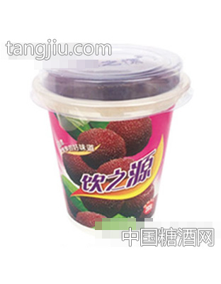 285g饮之源水果沙拉杨梅果肉
