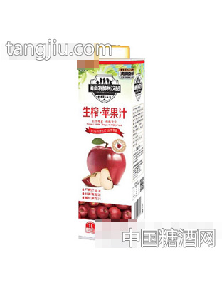 海南特种兵饮品生榨苹果汁1L