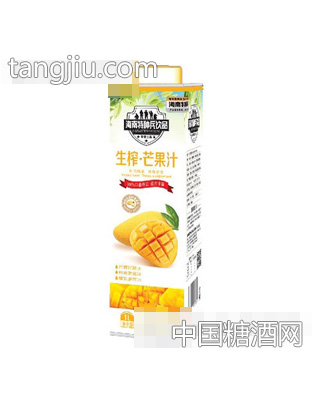 海南特种兵饮品生榨芒果汁1L