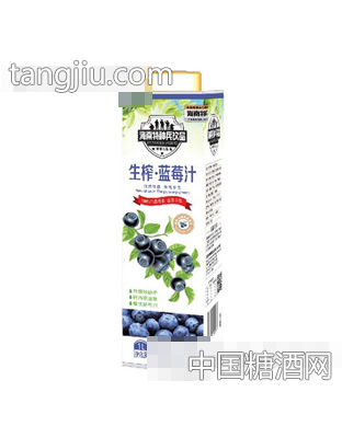 海南特种兵生榨蓝莓汁1L
