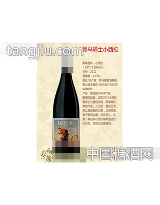 黑马骑士