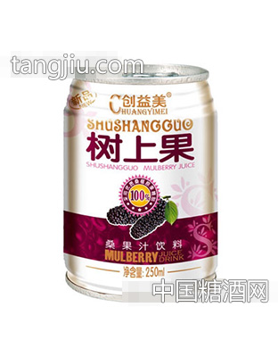 树上果桑果汁250ml