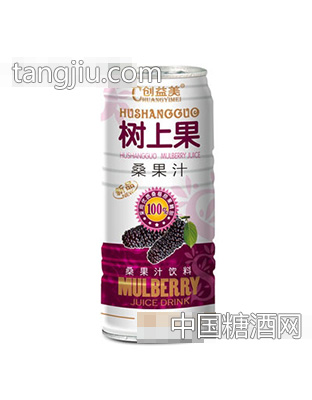 树上果桑果汁980ml
