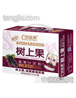 树上果桑果汁果汁饮料250mlx12