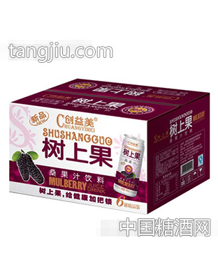 树上果桑果汁饮料6罐
