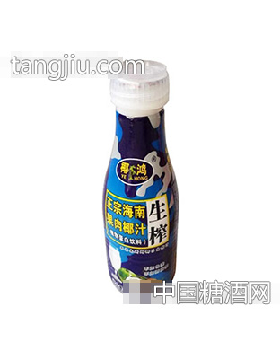 椰鸿生榨椰汁500g