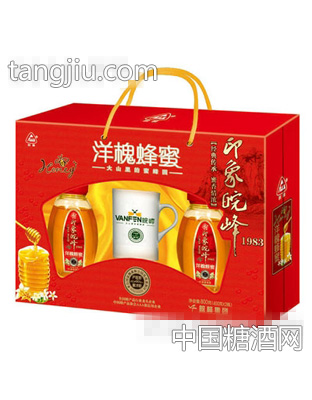 印象皖峰洋槐蜂蜜礼盒