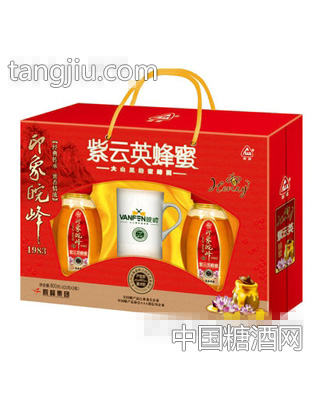 印象皖峰紫云英蜂蜜礼盒
