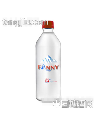 芬尼湾天然冰川水1L
