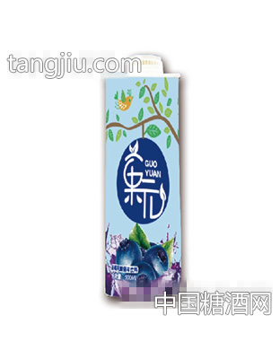 菓元蓝莓乳酸菌味饮料瓶装1L